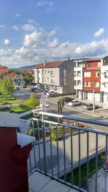 Apartmani Tamara Vrnjačka Banja Zewnętrze zdjęcie